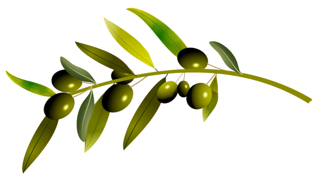 Dekorativ olivgren